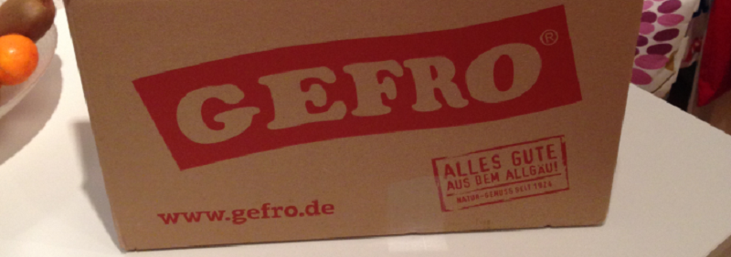 GEFRO-Logo